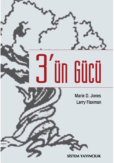 3'ün Gücü - Larry Flaxman -  Marie D. Jones - Sistem Yayıncılık