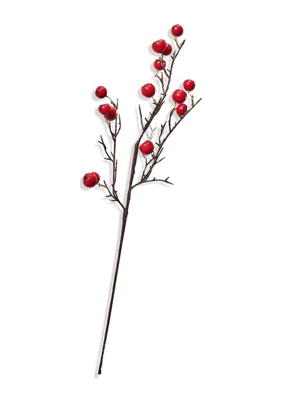 Pasabahce Fruit 68 Cm Kırmızı - 1 Adet