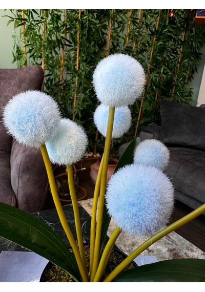 Yapay Çiçek Mavi Pompon Siyah Saksıda Dekoratif Yapay Çiçek 30 20cm