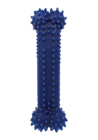 Nylabone Tavuk Aromalı Dental Köpek Oyuncağı XS