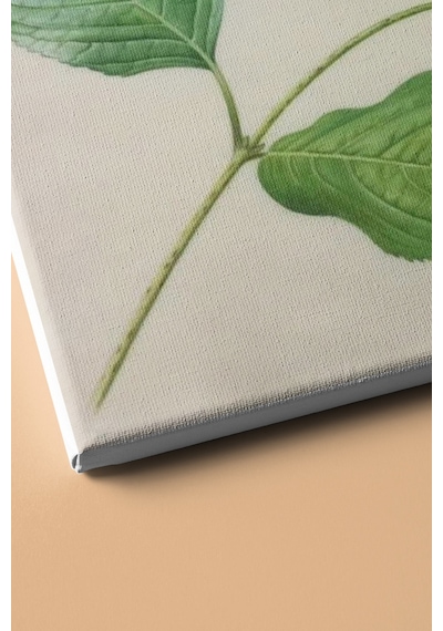 Webstyle Sayılarla Boyama Seti Kasnaklı Kelebek Çalısı 60 X 75 Cm