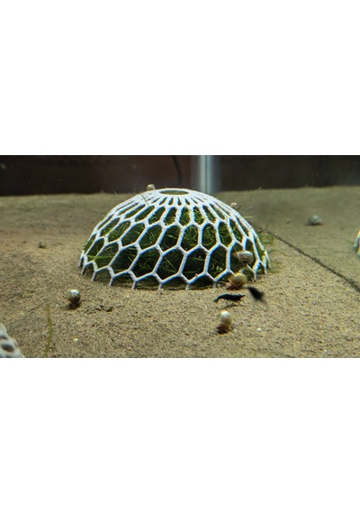 2 Adet Akvaryum Moss Dome Yosun & Bitki Koruma Kubbesi
