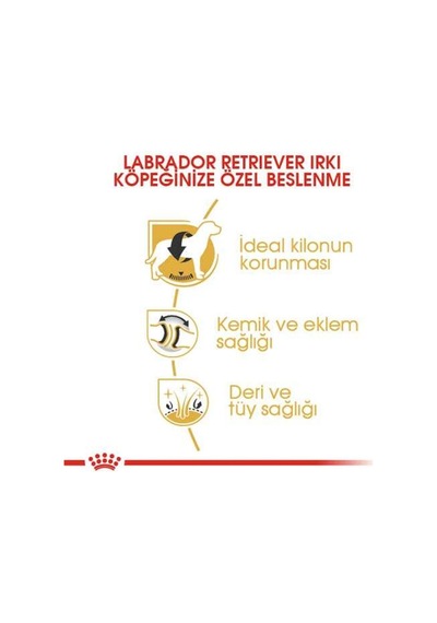 Royal Canin Labrador Retriever Irk Köpek Maması 12 Kg
