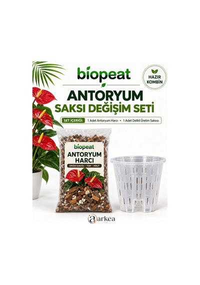 Antoryum Saksı Değişim Seti 3 L Harç Ve 0,75 L Delikli Saksı 1