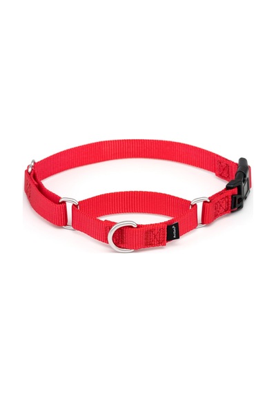 Hızlı Kopçalı Martingale Yaka, 3/4" Medium, Kırmızı Çok Renkli