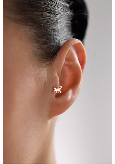 Gianfranco Shine Kedi Tragus Küpe