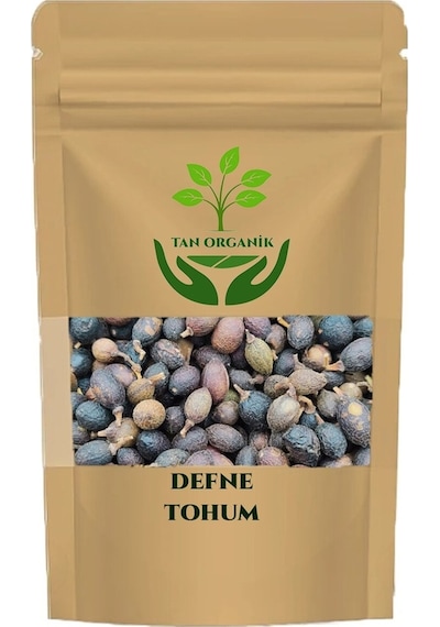 Defne Laurus Nobilis Tohumu 40 Gr
