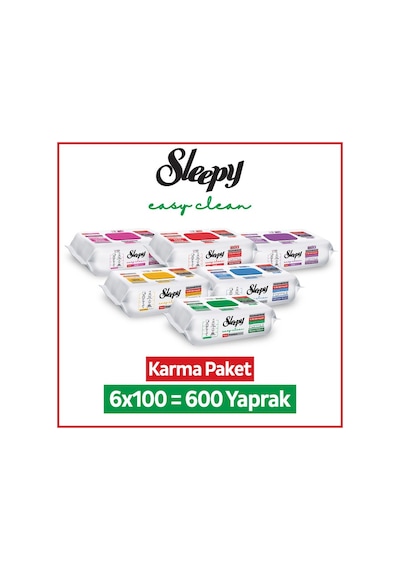 Sleepy Easy Clean Premium + Çiçek Serisi Yüzey Temizlik Havlusu Mendili 6x100 Karma Paket