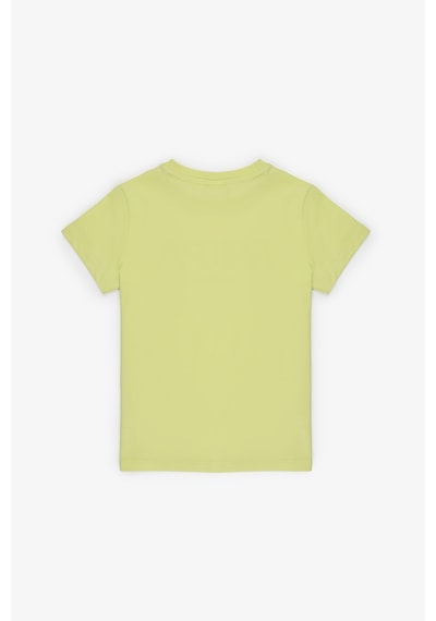 U.S. Polo Assn. U.s. Polo Assn. Erkek Çocuk Tişört Basic 50325607-vr257 Fıstık Yeşili
