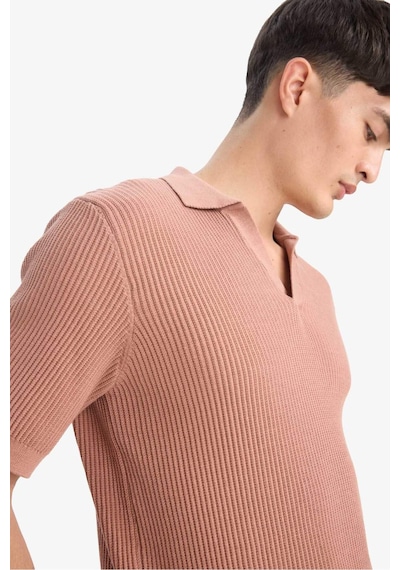 DeFacto %100 Pamuk Standart Fit Polo Yaka Kısa Kollu Triko Tişört E5860AX25SMBN300