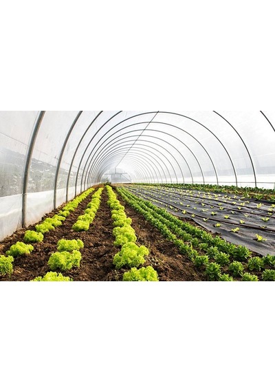36 Aylık Sera Naylonu 350 Mikron 10x10 Uv-ab-ır-eva-ld Katkılı