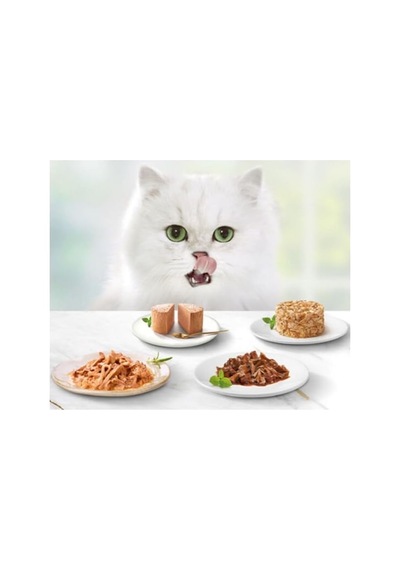 Gold Kıyılmış Tavuk Etli Yaş Kedi Maması Multipack 85 Gr. 48 Al 36 Öde