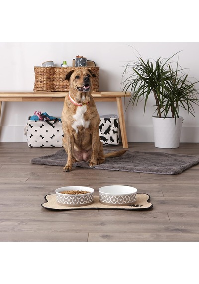 Lattice Collection Evcil Hayvan Kasesi Ve Kutu, Büyük Set, 7,5 X 2,4, Taş, 2 Parça Beyaz - Çok Renkli