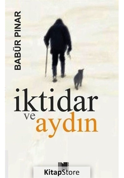 İktidar ve Aydın - Babür Pınar - Nitelik Kitap
