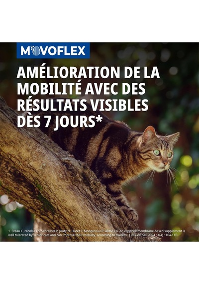 Movoflex Kedi 30cp