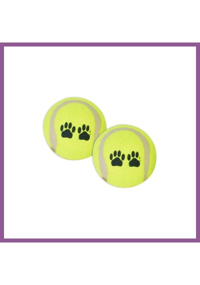 Flip Wp-6331 Pet Tenis Oyun Topu 2 Li 1 Adet Rengaren