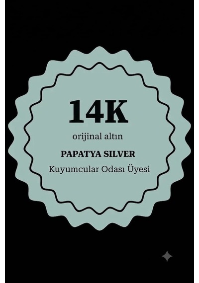 Orjinal 14 Ayar Altın Minimal Top Zincir Kadın Küpe Gümüş