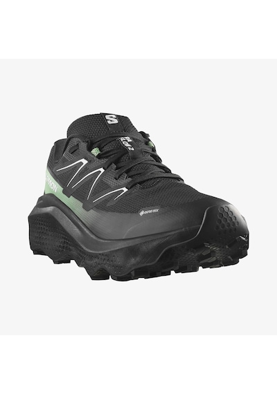 Salomon Ultra Flow 2 Gtx Erkek Koşu Ayakkabısı L47981400 Çok Renkli