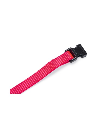 Beeztees Yavru Köpek Boyun Tasması, Çeşitli Renklerde, 22-35cm, 10mm Çok Renkli