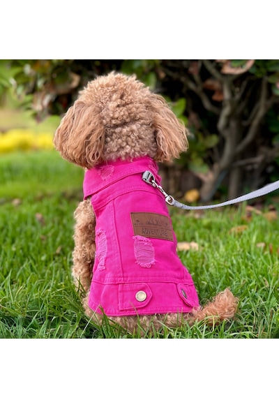 Yeni - Fuşya Renk Kot Köpek Yeleği - Küçük Irklar İçin Şık Ve Rah