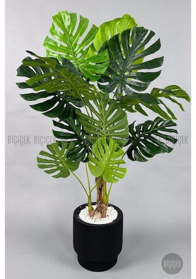 Biçiçek Yapay Monstera Ağacı Deve Tabani 160 Cm Si̇yah Vega Saksıda