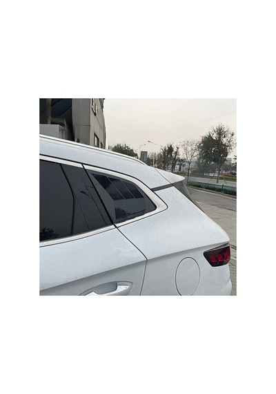 Red Lion Parts Byd Seal U Kelebek Cam Abs Karbon Fiber Kaplama