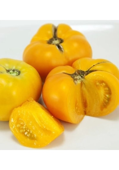 Big Yellow Domates Tomatoes Tohumu 15 Tohum