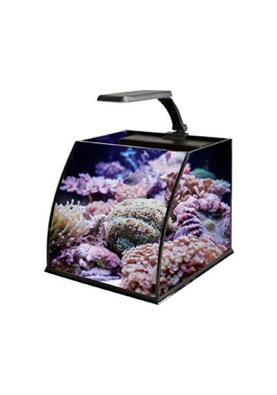 Belly Box 25 Ledli Sumplu Nano Akvaryum 26x26x24cm