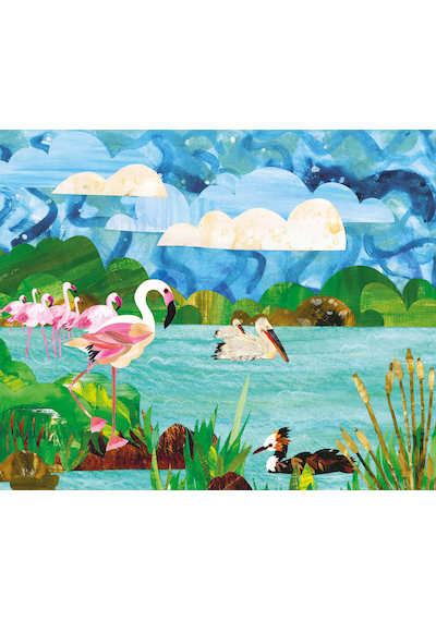 Yalıçapkını Olmak Neye Benzer? Resimli Hikâye Kitabı