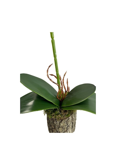 Nettenevime Kütük Saksılı Tekdal Islak Orkide Yapay Çiçek Beyaz 50 x 30 CM Nettenevime Kütük Saksılı Tekdal Islak Orkide Yapay Çiçek Beyaz 50 x 30 CM