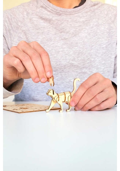 Kikkerland Puzzle-3d Ahpsap Kedi Puzzle Gg148