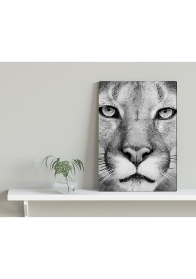 Bk Home Puma Tasarımlı Kanvas Tablo 30X50Cm-1