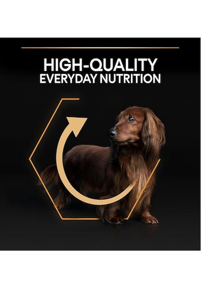 Pro Plan Small & Mini Adult Tavuklu Köpek Maması 3 Kg