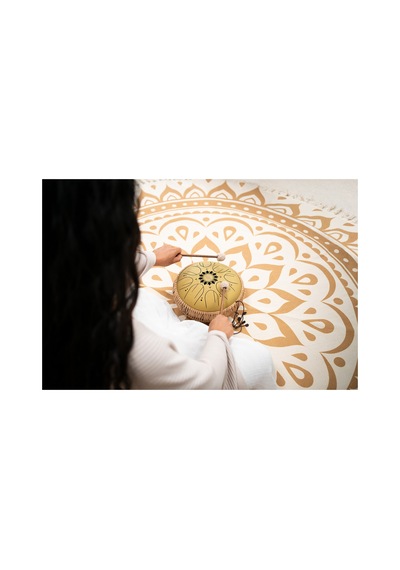 Meinl Sonic Energy 10" Medium Octave Steel Tongue Drum C Major, 8 Notes, 432 Hz, Gold