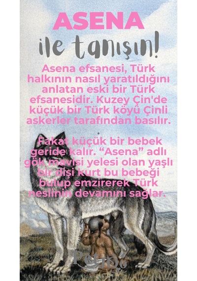 Petjoo 25.Asena Gri-Pembe Qr'lı Köpek Künyesi