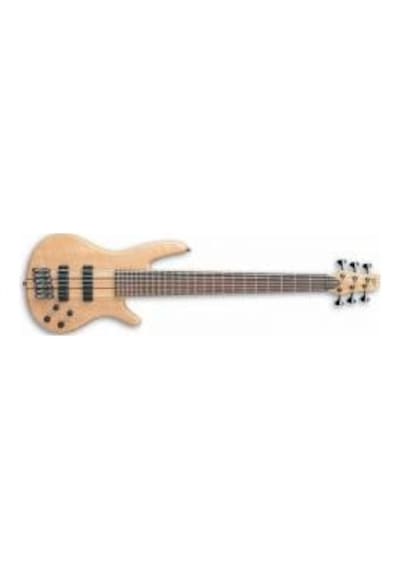 Ibanez Sr1006Efmntf Bas Gitar 6 Telli-Kutulu Kore Ibanez Kore