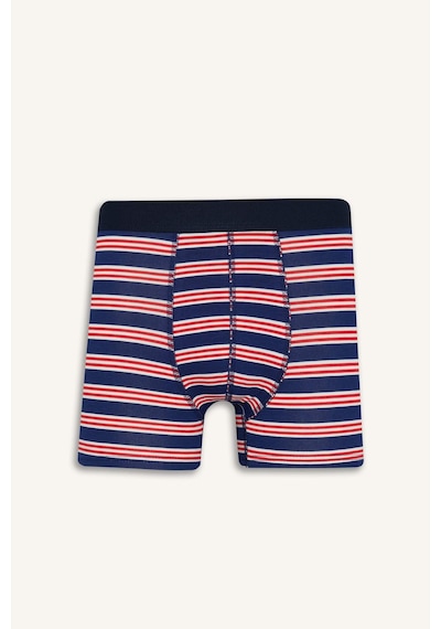 Defacto Regular Fit Çizgili 3lü Boxer E0123ax25aunv135 Lacivert