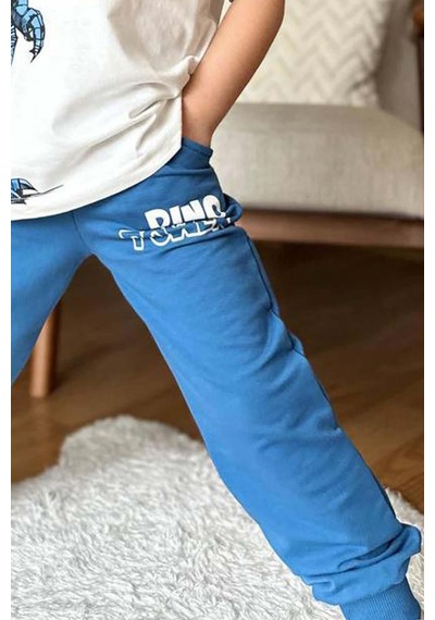 Riccotarz Erkek Çocuk Dinazor Digital Baskı Ve Yazı Detaylı T-shirt Mavi Eşofman Takım Buz Mavi Riccotarz Erkek Çocuk Dinazor Digital Baskı Ve Yazı Detaylı T-shirt Mavi Eşofman Takım Buz Mavi