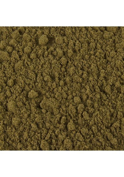 Derya Eren Kereviz Tohumu Öğütülmüş Tozu 250 G