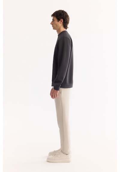 Avva Erkek Antrasit Bisiklet Yaka Pamuklu Bi-stretch Basic Regular Fit Sweatshirt A52y1328