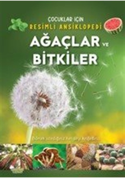 Ağaçlar Ve Bitkiler / Kolektif