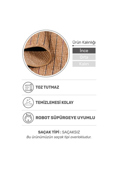 Lucette Jüt Tabanlı Kilim Hasır Görünümlü, İnce Bukle Halı, Robot Süpürge Uyumlu Çok Renkli