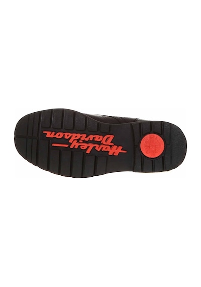 Harley Davidson COLMAR Unisex  BLACK - BASKILI DERİ Bot