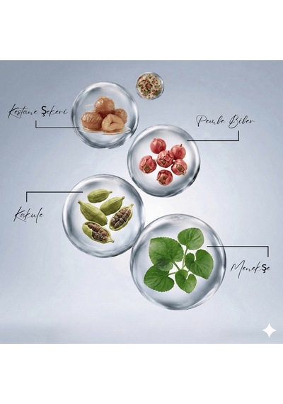 Luxury Prestige Grasse Addictive Spicy Erkek Parfüm 100ml Edp Aromatik