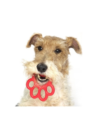 Orma Köpek Oyuncağı Mavi