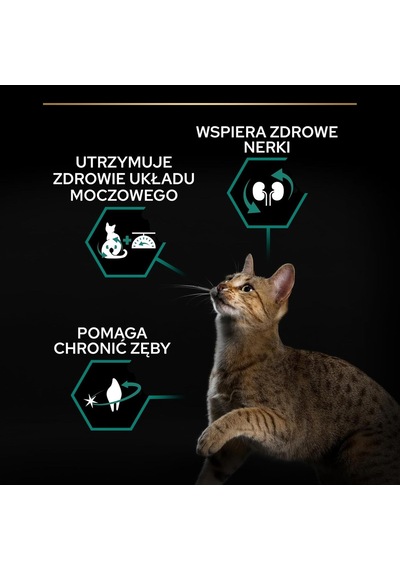 Sterilised Hindili Kuru Kedi Maması 10 Kg Standart