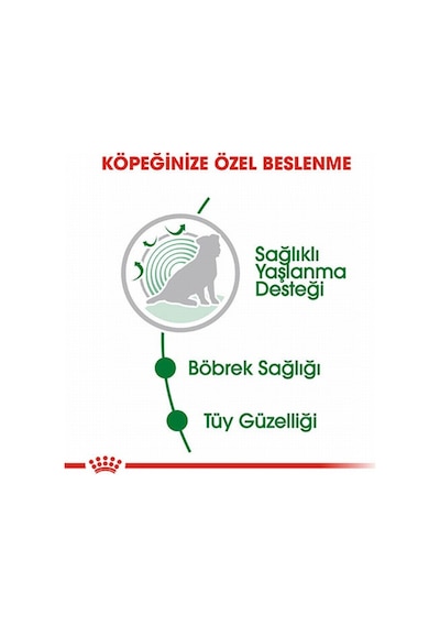 Royal Canin Mini  Sauce-Sobe-Coyc 12+ Soslu Yaşlı Köpek Maması 85 G