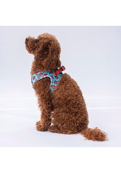 Pawstar Air-mesh Bears Köpek Göğüs Tasması Xs Genel