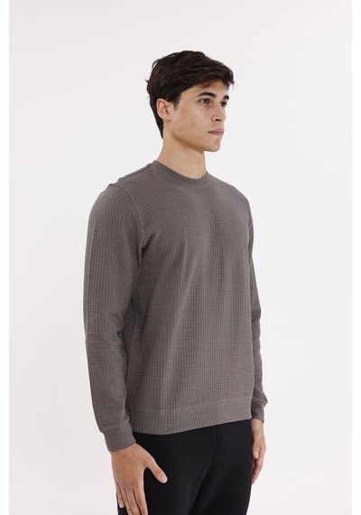 Rowinger Petek Yüzeyli Bisiklet Yaka Rahat Kalıp Lastik Manşetli Mevsimlik Sweatshirt Antracite Rowinger Petek Yüzeyli Bisiklet Yaka Rahat Kalıp Lastik Manşetli Mevsimlik Sweatshirt Antracite