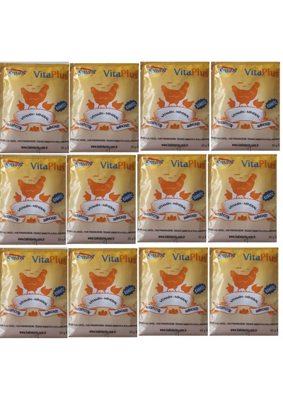 Smart Vita Plus Vitamin + Mineral + Aminoasit ve Prebiyotik 50 G